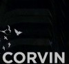   Corvin