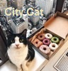   City Cat